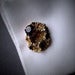 Image of Jeweled Coral Cufflinks