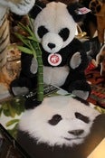 Image of Steiff Panda with Adopt a Panda Kit
