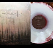 Image of 12" If These Trees Could Talk - Red Forest