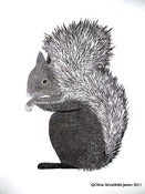 Image of Red Squirrel - Limited Edition linocut print