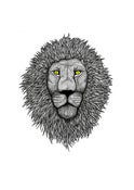 Image of LION