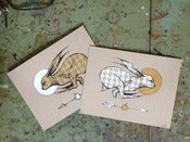 Image of Hare and Houndstooth set