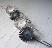 Image of aster dangles