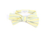 Image of Diane Gaufré - ON SALE 50% OFF