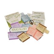 Image of Eucalan Getaway Gang Travel Set