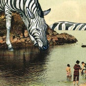 Image of Take to the waters greeting cards - Four pack