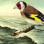 Image of Take to the waters greeting cards - Five of the one kind