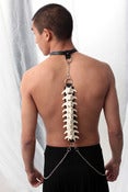 Image of OS ACCESSORIES - SPINAL CORD HARNESS