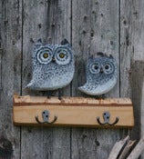 Owls Coat Hooks
