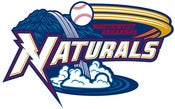 Image of NWA Natural's Baseball Help Portrait NWA Fundraiser