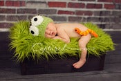 Image of Oscar the Grouch (add his adorable worm friend Slimey!)