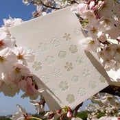 Image of sakura blossoms {blue}