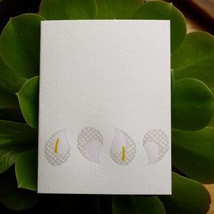 Image of calla drops {white}
