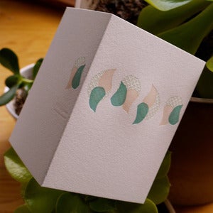 Image of calla drops {color}
