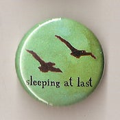Image of Birds 1" Pin