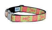 Image of Maine Lady Lobster Dog Collar on UncommonPaws.com