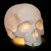 Image of 'Goliath' Table Skull Lamp