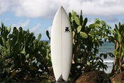 Image of Griffin Modfish with G10 Fins