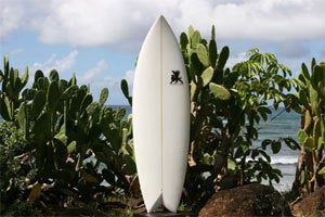 Image of Griffin Modfish with G10 Fins