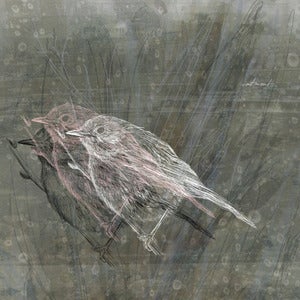 Image of CONTINENTS. "...and silence anchored our feet in granite" EP