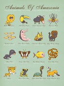 Image of Animals Of Amazonia