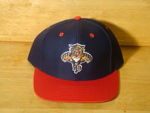 Image of Florida Panthers Retro Snapback Hat By Vintage Hockey