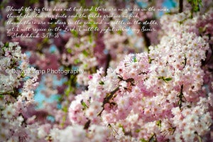 Image of Cherry Blossoms with Verse on an 8" x 12" Standout Professionally Printed on Metallic Paper