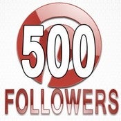 Image of 500 Pinterest Follows + Likes + Repins