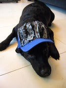 Image of Denim Sliced Cap