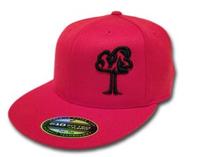 Red & Black Hat Image of Red & Black Hat