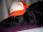 Image of Hand Embroidary Cap