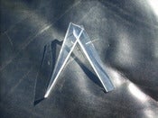 Image of Arctic Fox Earrings