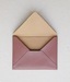Image of ENVELOPE pale rose