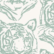 Image of star tiger wallpaper - colors
