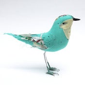 Image of Small turquoise bird