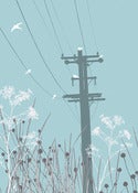 Image of Telegraph Pole Print 