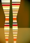 Image of Stripey tights
