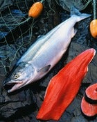Image of Add On:: fresh Copper River Sockeye Salmon - Whole Side Fillet - sold by each