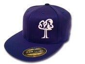 Image of Blue & White Hat