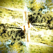 Image of GREATWAVES Special Edition 7" - SOLD OUT