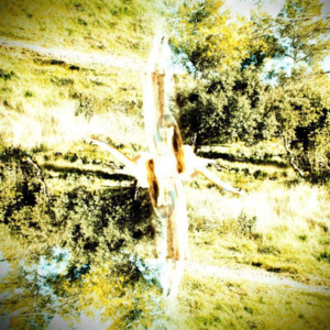 Image of GREATWAVES Special Edition 7" - SOLD OUT