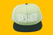 Image of Orchard Snapback Hat - Sherman Text - Spring Green & Black