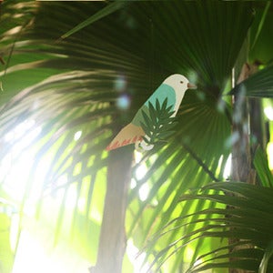 Image of TtableOffice Birds