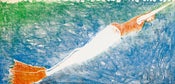 Image of Swimming towards the surface