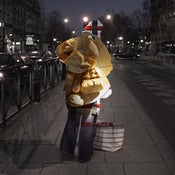 Image of Untitled 27
