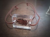 Image of Friendship bracelet featuring 'Trevor the Shield beetle' (Tessaratomidae)