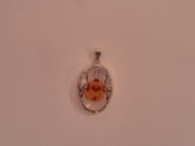 Image of Pendant featuring 'Chris the beetle' (Chrysomelidae)