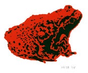Image of Mountain Toad Silkscreen Print