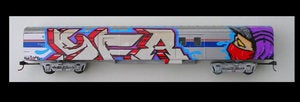 Image of SEAMO Amtrak Train 1/1