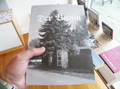 Image of Eric van der Weijde - Der Baum
